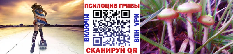 блэк спрут ссылка  Кунгур  Псилоцибиновые грибы MAGIC MUSHROOMS 