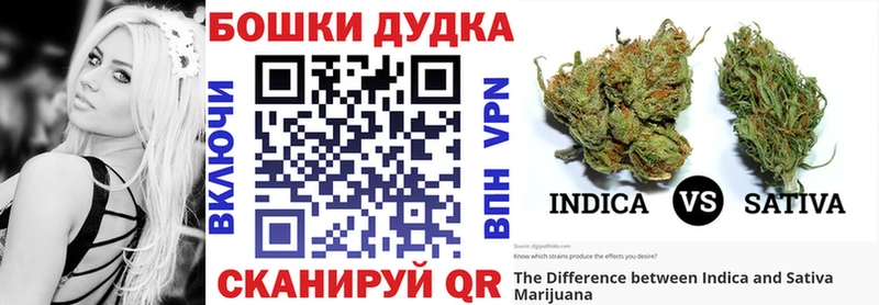 ссылка на мегу ссылки  Кунгур  Бошки марихуана индика 